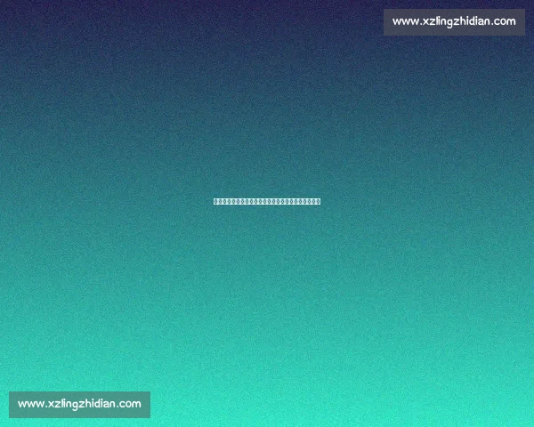 徐晓东太极实战比赛精彩瞬间全程解析展示力量与技巧