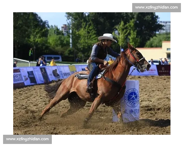 朝阳公园精彩马术盛会门票抢购全攻略