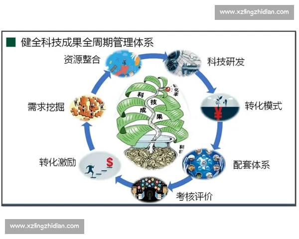 企业创新体系建设与发展路径研究：推动科技创新与市场竞争力提升