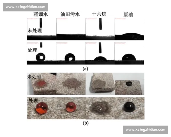 比赛汽油的性能评估与优化研究：提升赛车速度与稳定性的关键因素分析