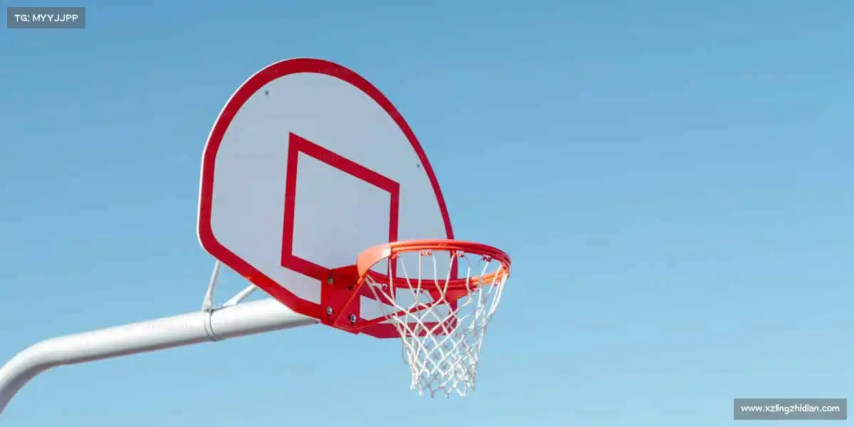 为什么选择我们